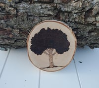 Image 1 of Tree Coasters - Large