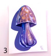 Image 4 of Mushrooms 