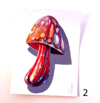 Image 3 of Mushrooms 