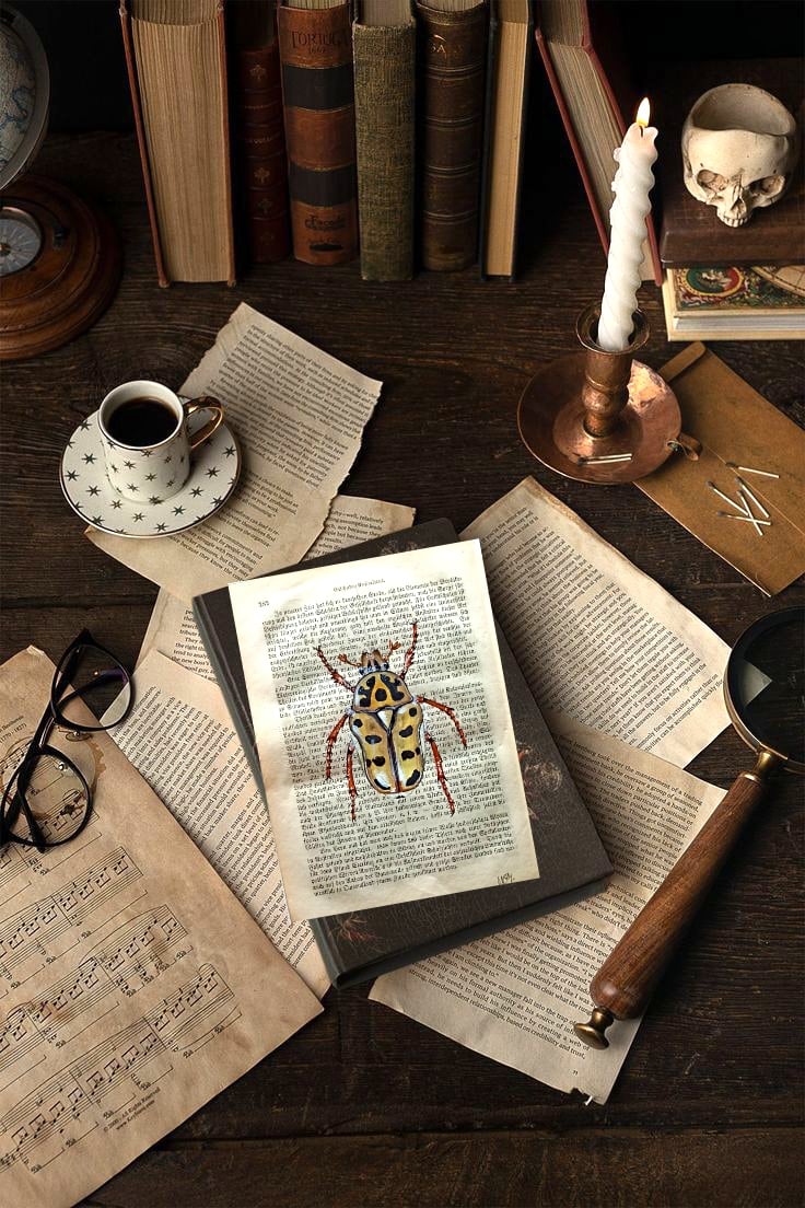 Image of Life in Old Pages Insect n. 12 Neorrhina punctatum