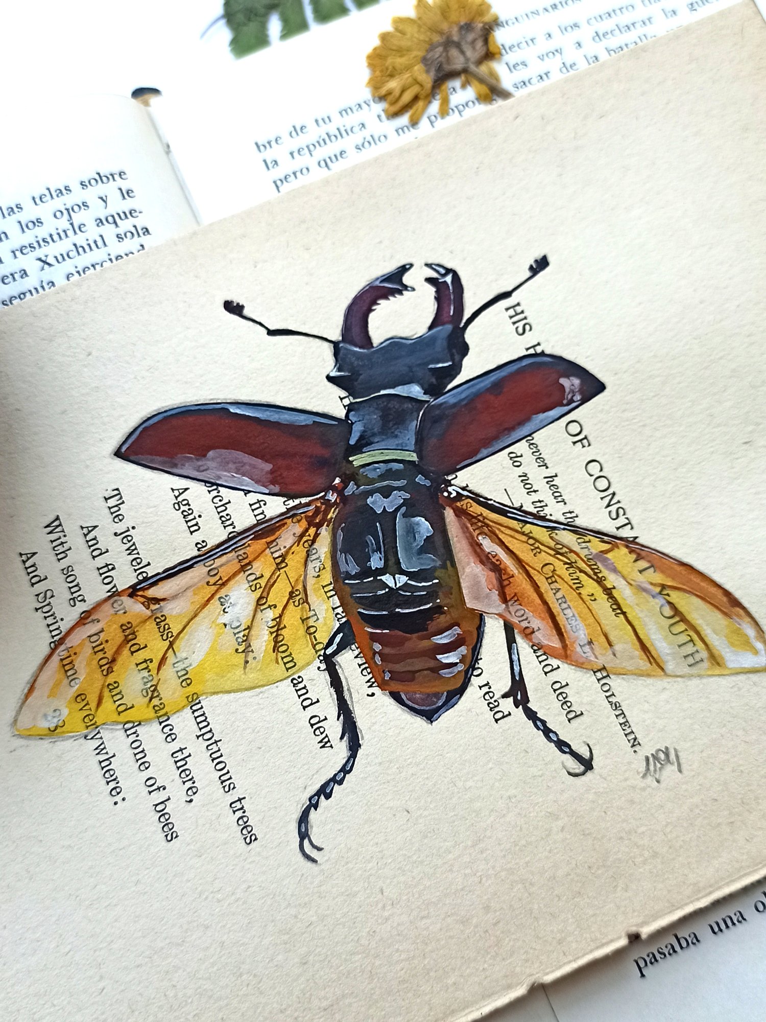 Image of Life in Old Pages Insect n. 14 Stag Beetle 