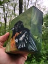 Ernest the Oriole – Baltimore Oriole bird painting