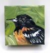 Ernest the Oriole – Baltimore Oriole bird painting