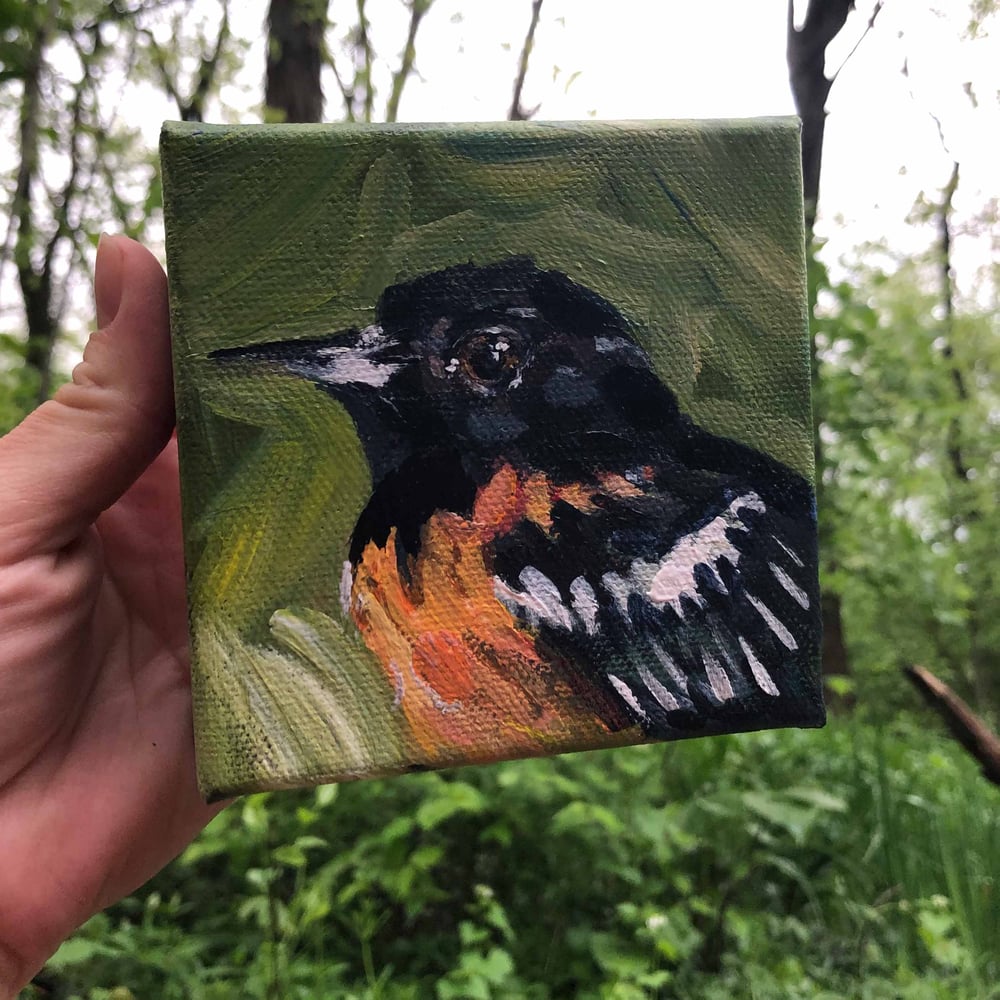 Ernest the Oriole – Baltimore Oriole bird painting