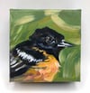 Arthur the Oriole – Baltimore Oriole Bird painting