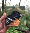 Arthur the Oriole – Baltimore Oriole Bird painting
