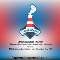 Image 2 of Paradise Thomas 