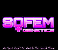 Image 2 of SoFem ~ Cherry Cheetah