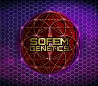 Image 3 of SoFem ~ Cherry Cheetah