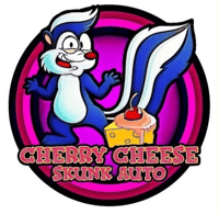 Image 1 of SoFem ~ Cherry Cheese Skunk Auto