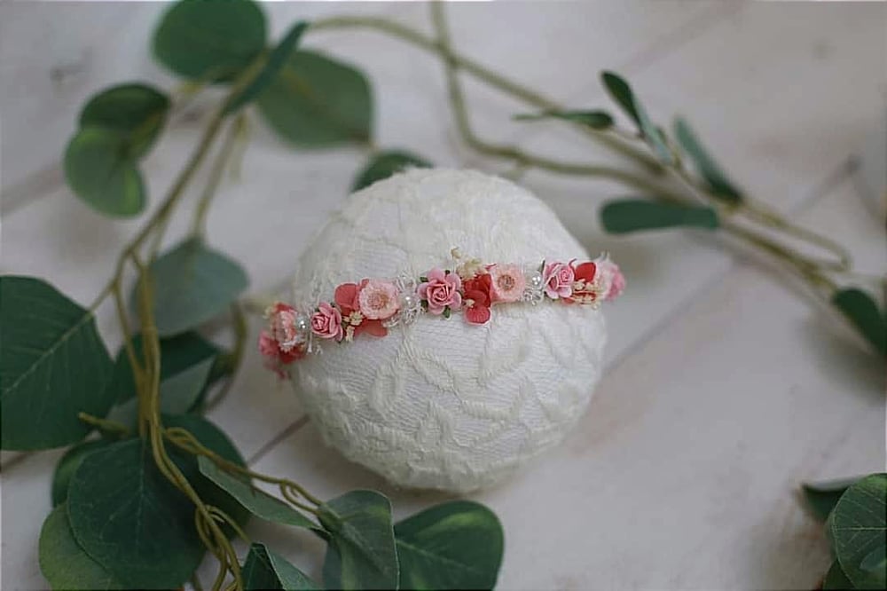 Image of halo rose et fushia 