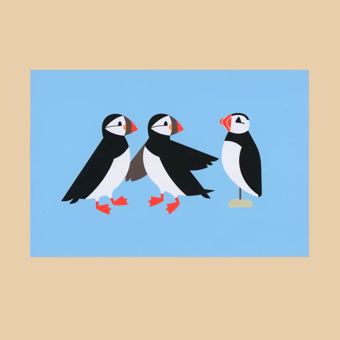 Image of Puffin Decoy Postcard Print