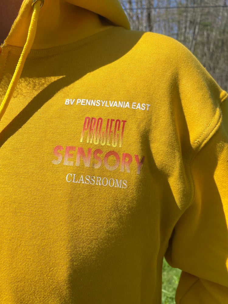 Image of PROJECT SENSORY HOODIE