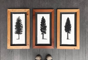 Tree Trio Framed in Salvaged Hemlock, Redwood & Cedar