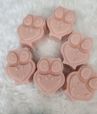 Image 1 of Owl Melts