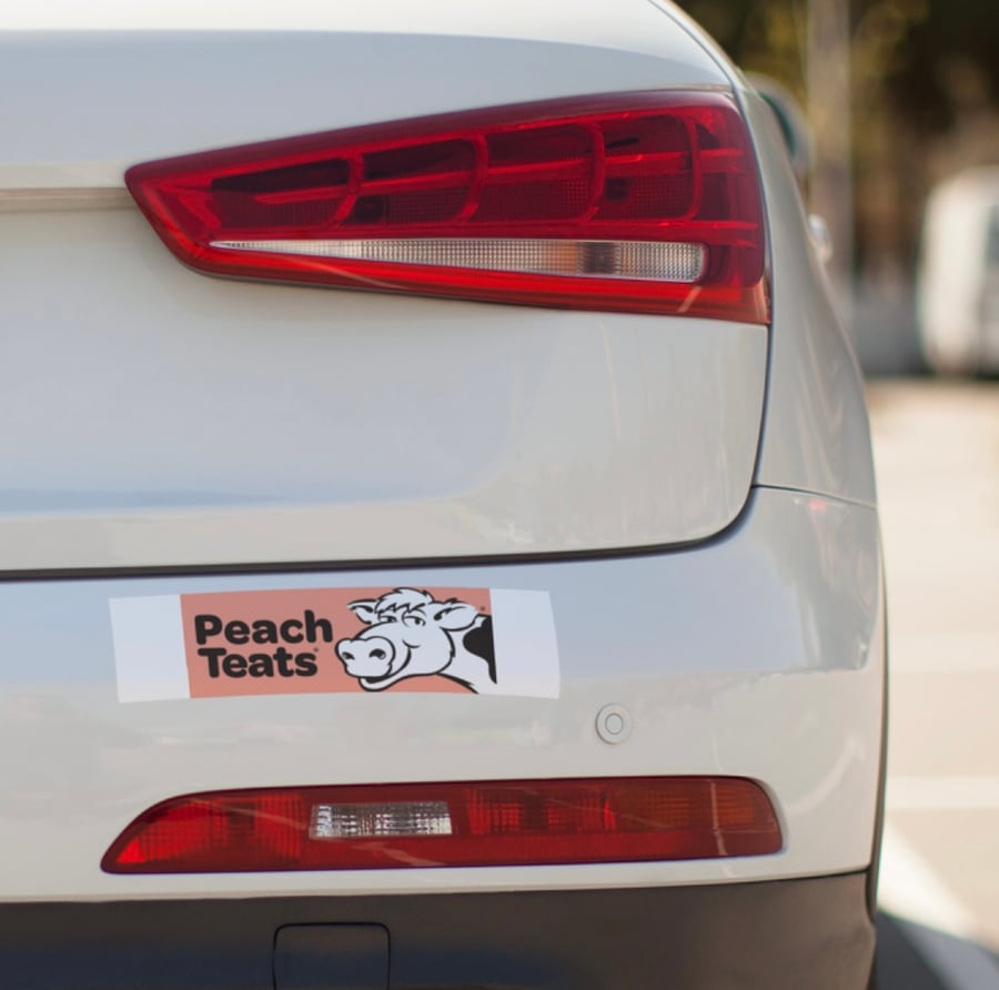 Image of Car Bumper Sticker