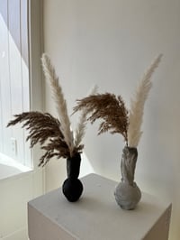 Image 2 of Miniature Vases 2 by Danny Griffin