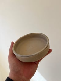 Image 3 of Cat Dishes by Danny Griffin