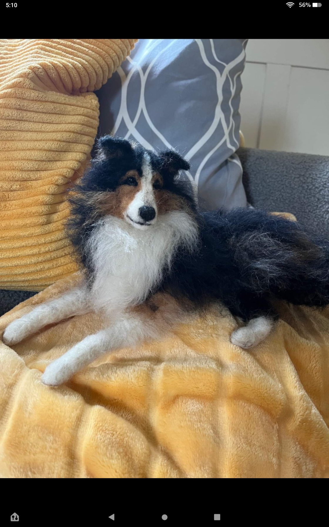 Image of 9" Sheltie laying down(any color)