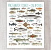 Freshwater Fishes of California