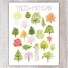 Trees of Michigan