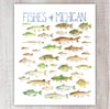 Fishes of Michigan