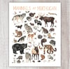 Mammals of Michigan