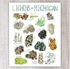 Lichens of Michigan