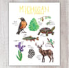 Michigan State Symbols