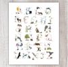 Animal Alphabet