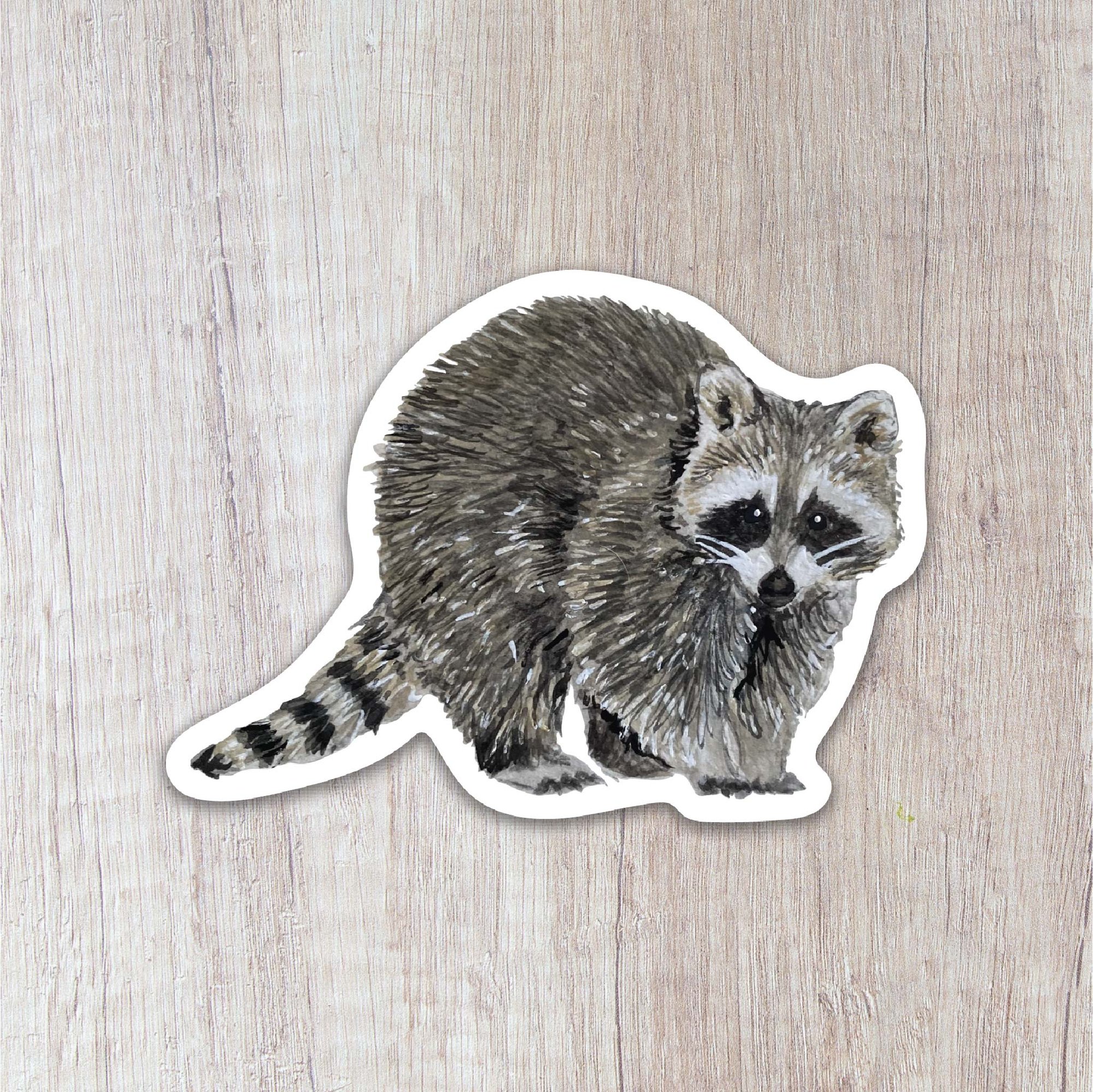 Stickers Cute Animal Raccoon, Stickers Decals Raccoon