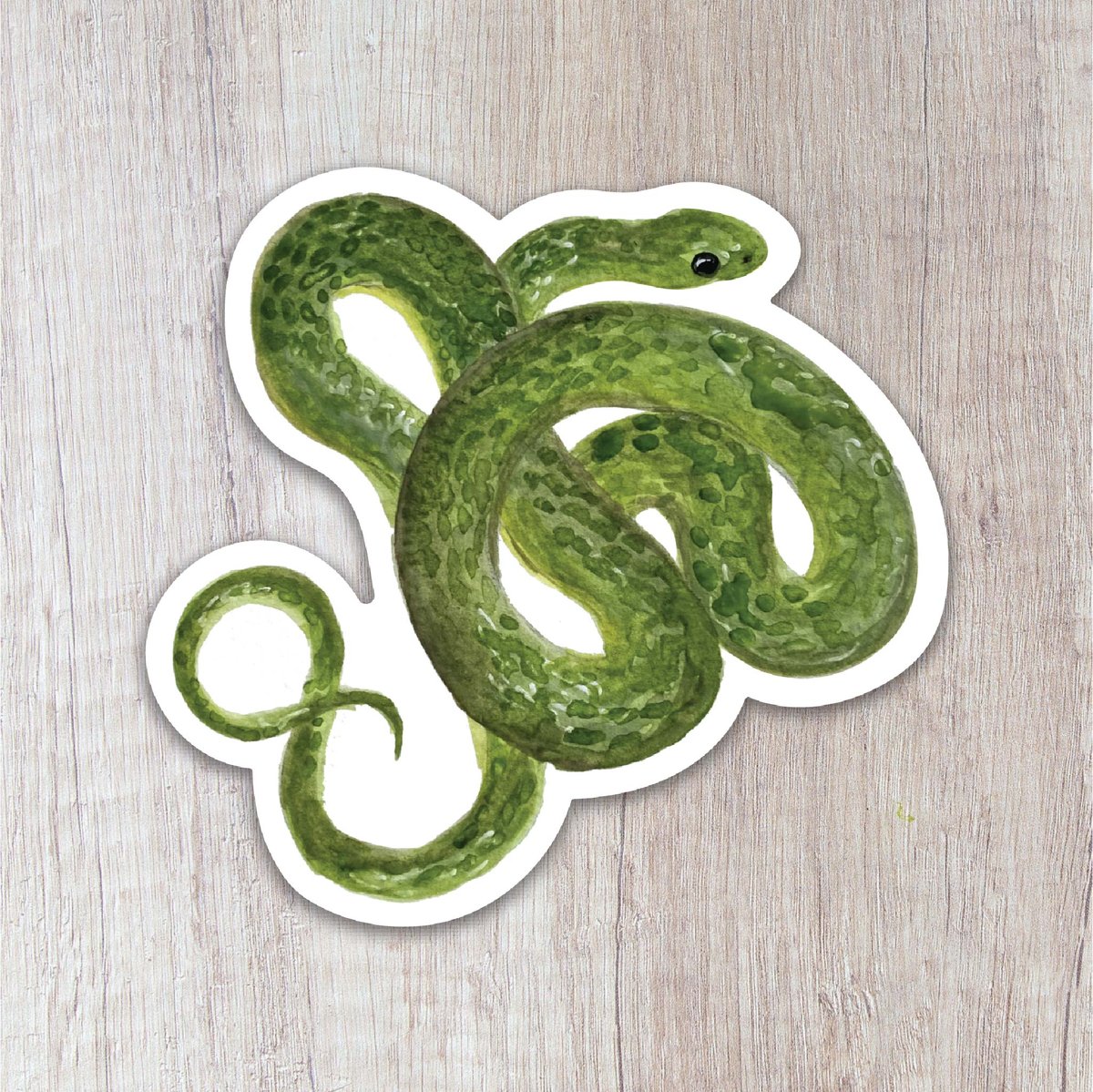 Smooth Green Snake Sticker | Brush & Bark