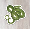 Smooth Green Snake Sticker