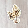 Morel Sticker