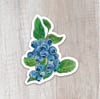 Blueberry Sticker