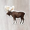 Moose Sticker