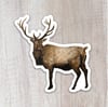 Elk Sticker