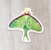 Luna Moth Sticker