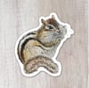 Chipmunk Sticker