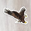 Bald Eagle Sticker