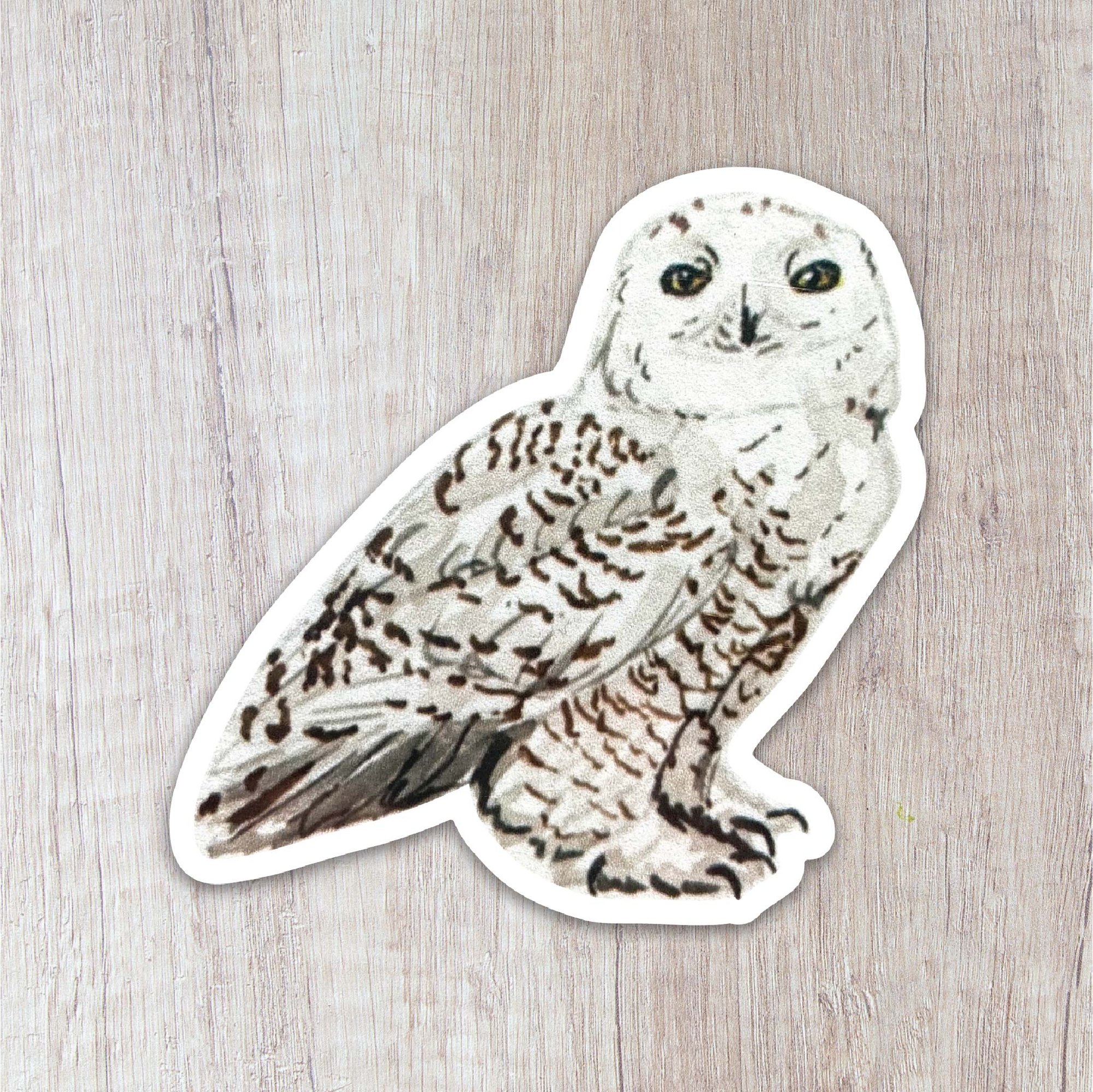 Snowy Owl Sticker | Brush & Bark