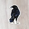 Crow Sticker