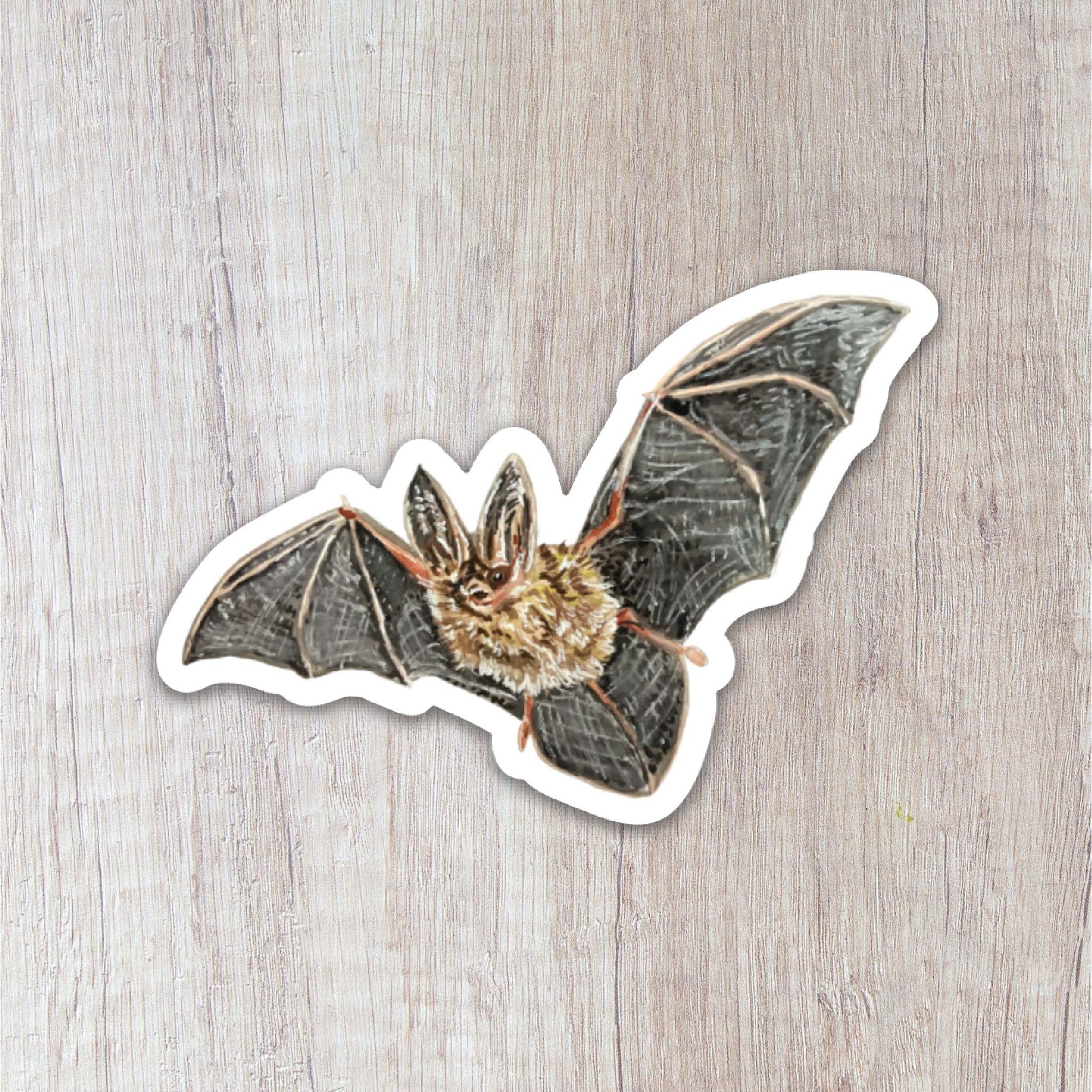 Bat Sticker | Brush & Bark