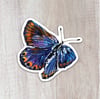 Karner Blue Butterfly Sticker