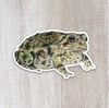 Fowler's Toad Sticker