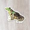 Leopard Frog Sticker