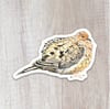 Mourning Dove Sticker