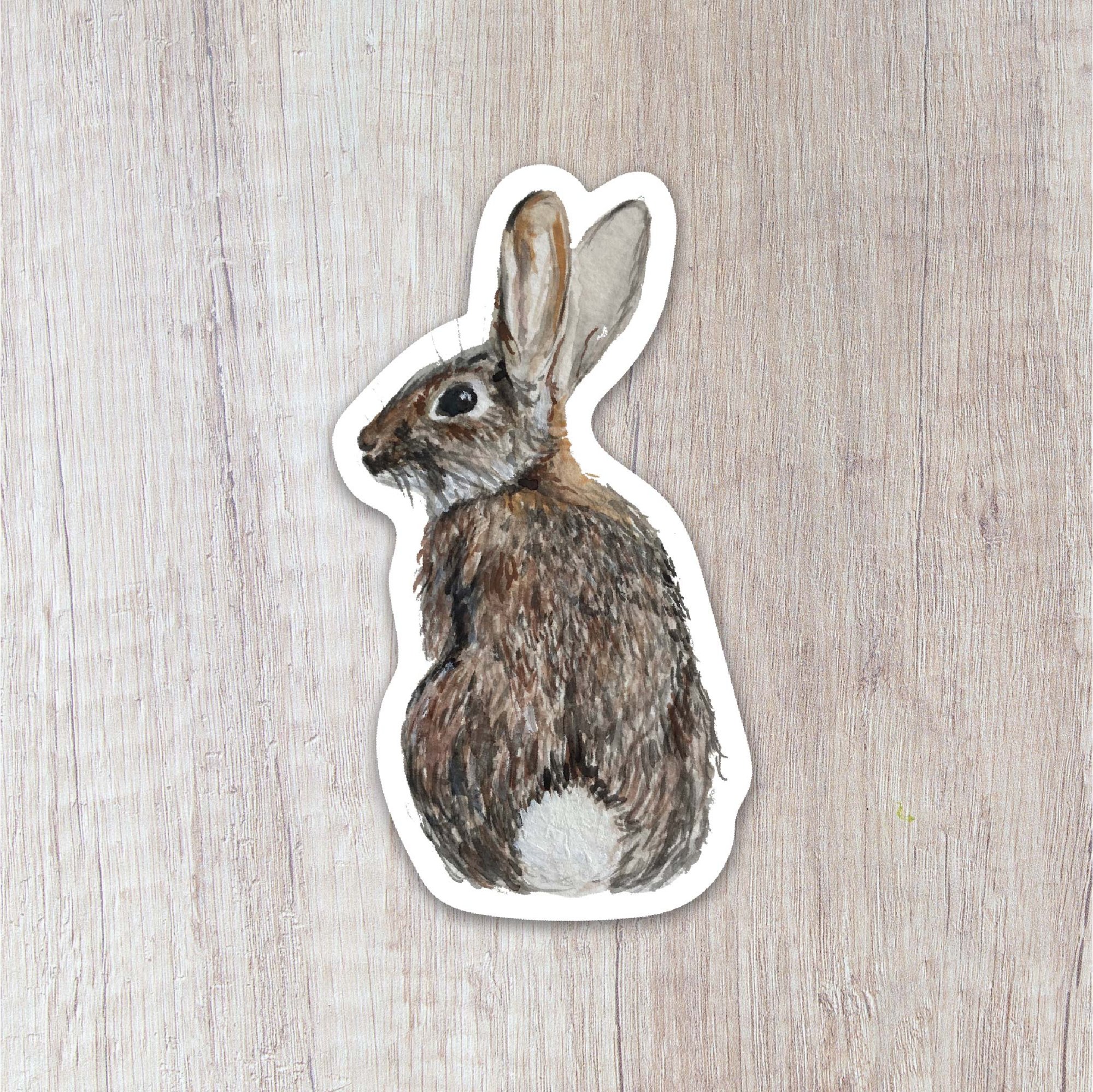 Cottontail Rabbit | Vinyl Sticker Cottontail Rabbit | Vinyl Sticker