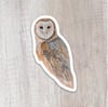 Barn Owl Sticker