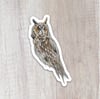 Long-eared Owl Sticker